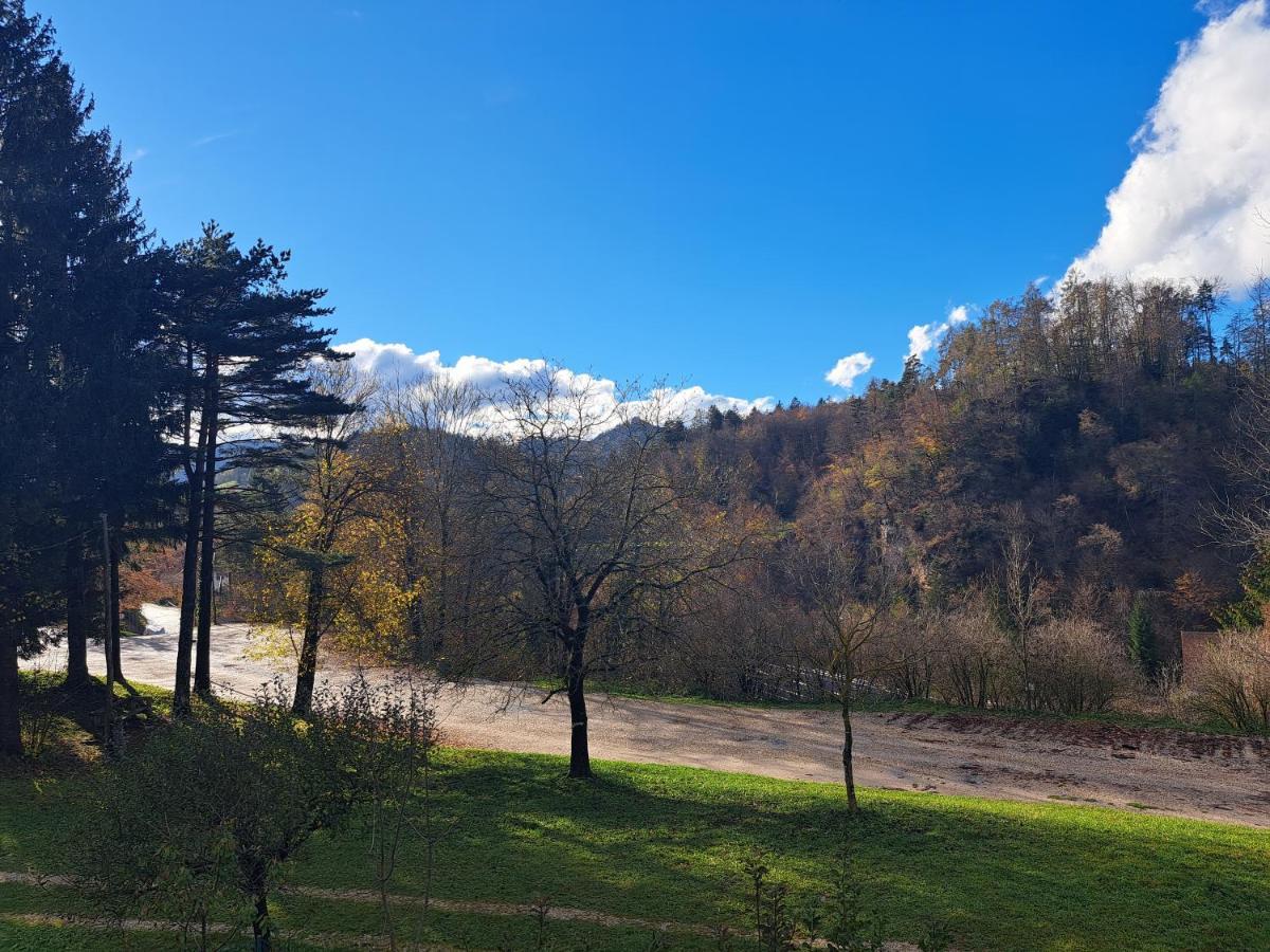 Greenriver Apartment Spodnje Gorje Exterior foto